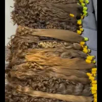 خریدار اصلی و صادر کننده  مو بدون واسطه  و دلال