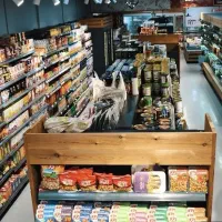 راه اندازی هایپرمارکت|فروشگاه و مغازه|جیرفت, |دیوار