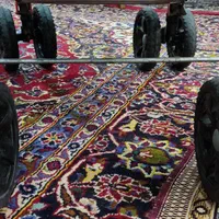 کالسکه دلیجان درحد|کالسکه و لوازم جانبی|تهران, دروازه شمیران|دیوار