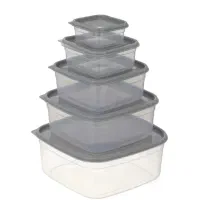 ظروف پنج تیکه|ظروف نگهدارنده، پلاستیکی، یک‌بارمصرف|قم, حنیف نژاد|دیوار