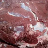 گوشت گوساله گرم.فاقد چربی و بدون استخوان.کشتار روز