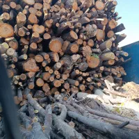 خرید چوب بصورت نقدی