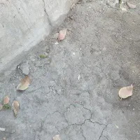 زمین مسکونی ساغند