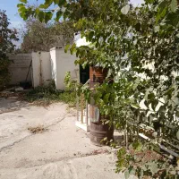 سوله جهت اجاره|اجارهٔ دفتر صنعتی، کشاورزی، تجاری|شیراز, انجیره|دیوار