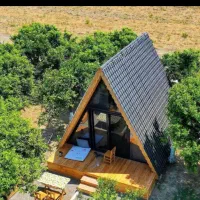 سرمایه گذاری همراه با تفریح و گردش