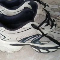 کتونی|کیف، کفش، کمربند|رشت, پیرکلاچای|دیوار