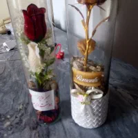 همشون باهم پونصد سالم|صنایع دستی و سایر لوازم تزئینی|تربتحیدریه, بالا ولایت|دیوار