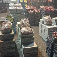 شراکت در میدان تربار|اجارهٔ مغازه و غرفه|تهران, میدان میوه و تره‌بار مرکزی|دیوار