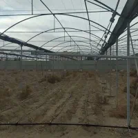 گلخانه|سازهای بادی|زابل, |دیوار