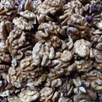 گردوی امسال محصول باغ خودمون در آذربایجان