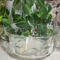 ظروف پذیرایی