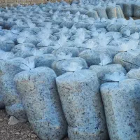 فروش تفاله تر چغندر بسته بندی وفله عمده وخورده