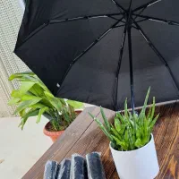 چتر باکیفیت بالا فقط کارتن عمده|زیورآلات و اکسسوری|تهران, بازار|دیوار