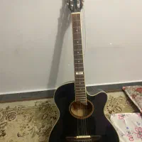 گیتار پیکابدار وگاس|گیتار، بیس، امپلیفایر|تهران, اباذر|دیوار