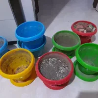 ۸ عدد گلدان با زیر گلدانی