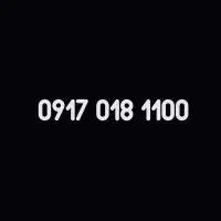 09170181100