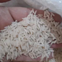 برنج هاشمی|خوردنی و آشامیدنی|محمدیه-قزوین, |دیوار