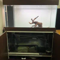 اکواریوم ریملس ۱۲۰ ۵۰ ۶۰ سامپ دار|ماهی|تهران, افسریه شمالی|دیوار