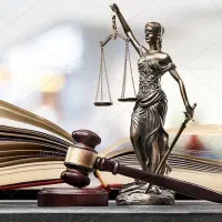 راهنمایی میخام دررابطه باانتخاب شغل وکیل داریم