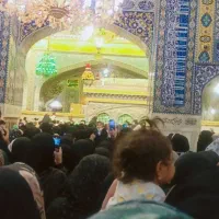 تور مشها