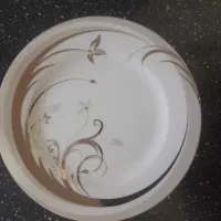 سرویس چینی ۱۲ نفره مقصود