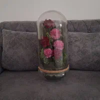 باکس شیشه ای با پنج تا گل و برگ