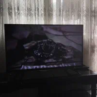 تلویزیون فیلیپس|تلویزیون و پروژکتور|زنجان, |دیوار