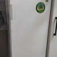 یخچال فیلور