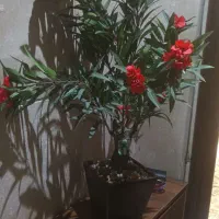 گلدان مصنوع با گل