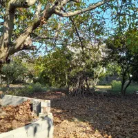 فروش-515-متر-زمین-با-سند