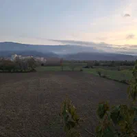 اجاره واحد ۷۰ متری تک خواب|اجارهٔ آپارتمان|بندر گز, |دیوار