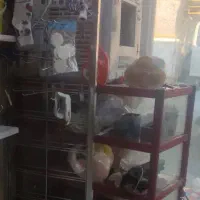 میز ویترین و رگال آویز کش و تل