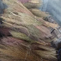 جارو کردی|لوازم نظافت|صحنه, |دیوار