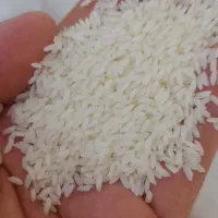 برنج هندی