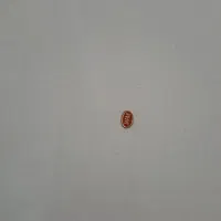 دیس بلبلی|ظروف سرو و پذیرایی|شاندیز, |دیوار