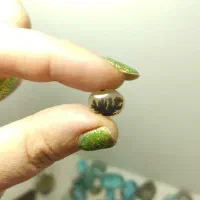 شجر قائن شجر تک درخت شجر مشکی|جواهرات|خمینیشهر, |دیوار