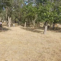 باغ محدوده روستای باروق|فروش دفتر صنعتی، کشاورزی، تجاری|اردبیل, |دیوار