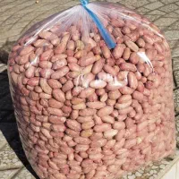 برشته بادام زمینی درجه ۱