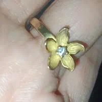 انگشتر و زنجیر