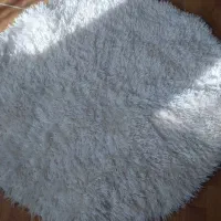 پرز بلند دایره