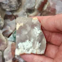 سنگ شجر|جواهرات|شیراز, تندگویان|دیوار