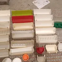 جا دونی جا آبی‌ جا غذایی و چوپ طوطی سان