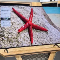 بانه ال ای دی|تلویزیون و پروژکتور|بانه, |دیوار