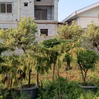 گل و گیاه بیرونی|گل و گیاه طبیعی|خرم‌آباد (تنکابن), |دیوار