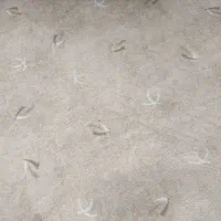 پالاز موکت