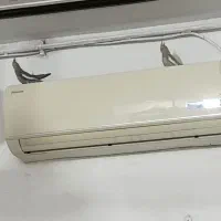 عروس هلندی|پرنده|اهواز, پردیس|دیوار