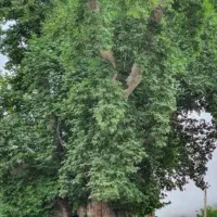 معاوضه خونه نیمه ساخت ییلاقی