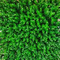 چمن مصنوعی/فنس چمنی/گرین وال/تایل ترموود،سنگ قلوه|مصالح و تجهیزات ساختمان|بندرعباس, |دیوار