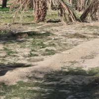 زمین ویلا باغ