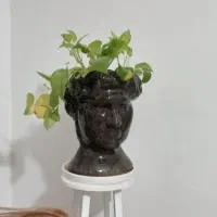 گل وگلدان وپایه|گل و گیاه طبیعی|قم, ولیعصر|دیوار